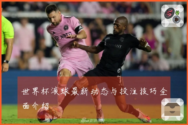 世界杯滚球最新动态与投注技巧全面介绍