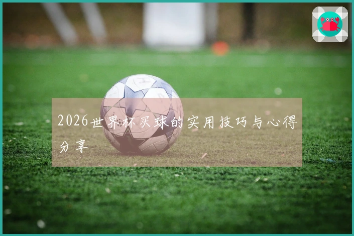 2026世界杯买球的实用技巧与心得分享