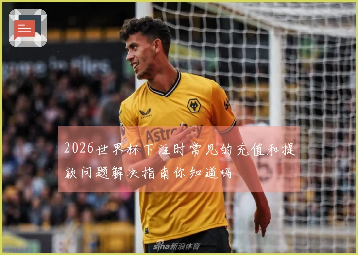 2026世界杯下注时常见的充值和提款问题解决指南你知道吗