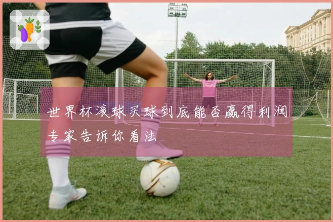 世界杯滚球买球到底能否赢得利润专家告诉你看法