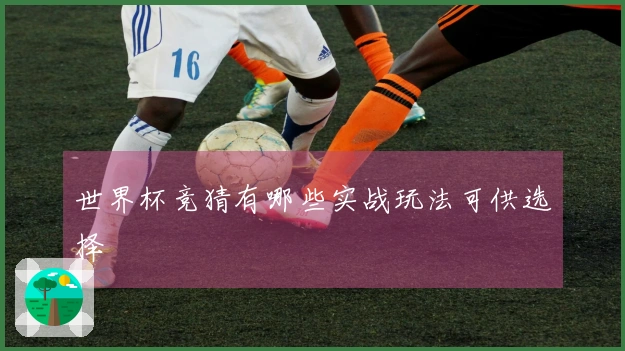 世界杯竞猜有哪些实战玩法可供选择