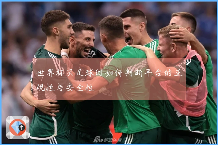 世界杯买足球时如何判断平台的正规性与安全性