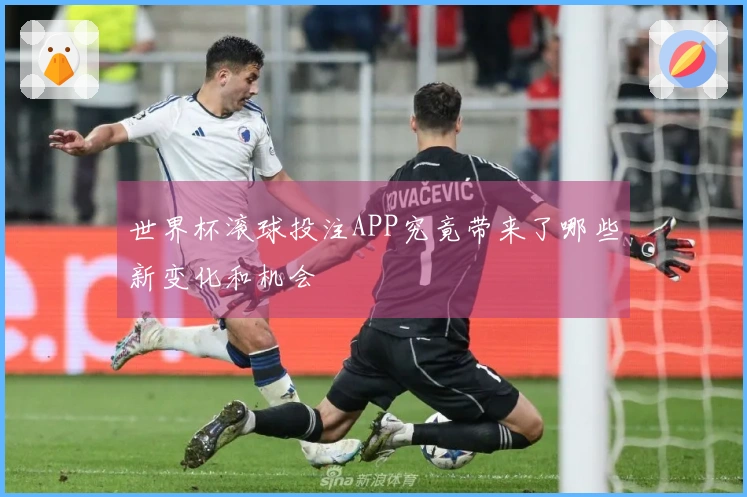 世界杯滚球投注APP究竟带来了哪些新变化和机会