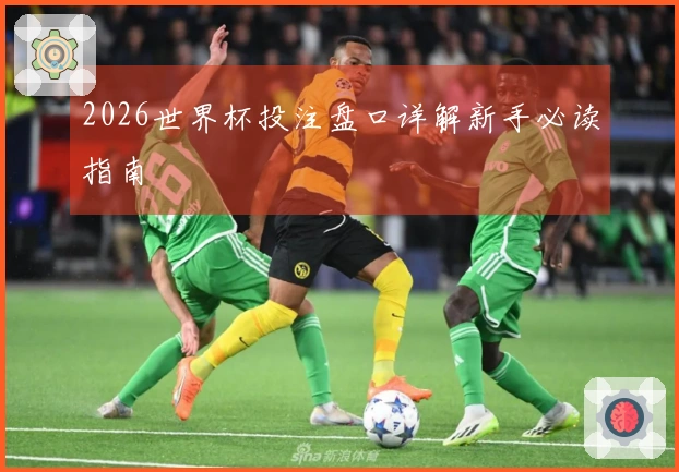 2026世界杯投注盘口详解新手必读指南
