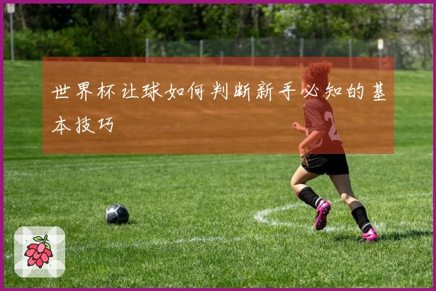 世界杯让球如何判断新手必知的基本技巧