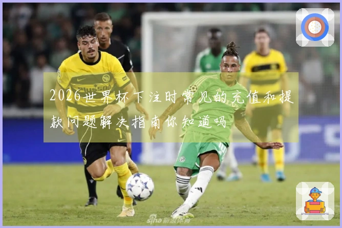 2026世界杯下注时常见的充值和提款问题解决指南你知道吗