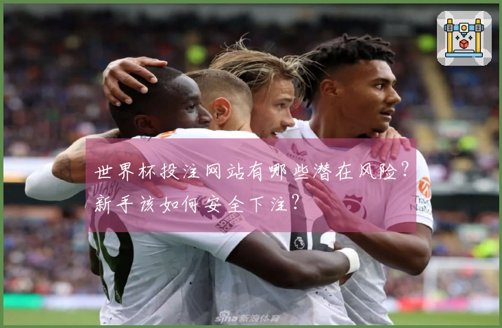 世界杯投注网站有哪些潜在风险？新手该如何安全下注？