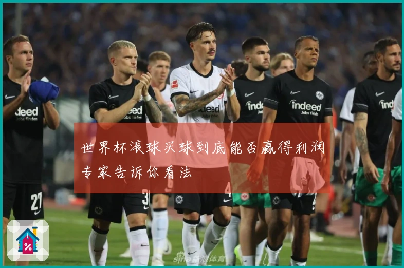 世界杯滚球买球到底能否赢得利润专家告诉你看法