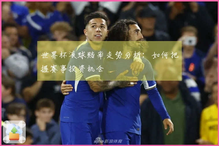 世界杯滚球赔率走势分析：如何把握赛事投资机会