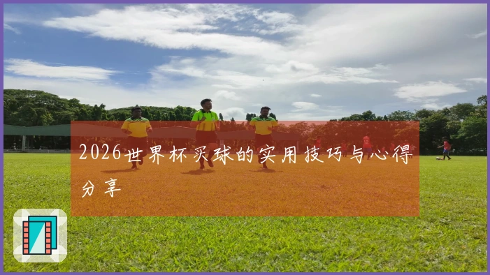 2026世界杯买球的实用技巧与心得分享